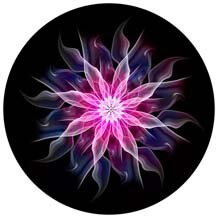 Donut Patroon Voor Telefoons Попсокет Ronde Telefoon Ring Vinger Holder Uitbreiden Stand Grip Pocket Socket: Choose 6