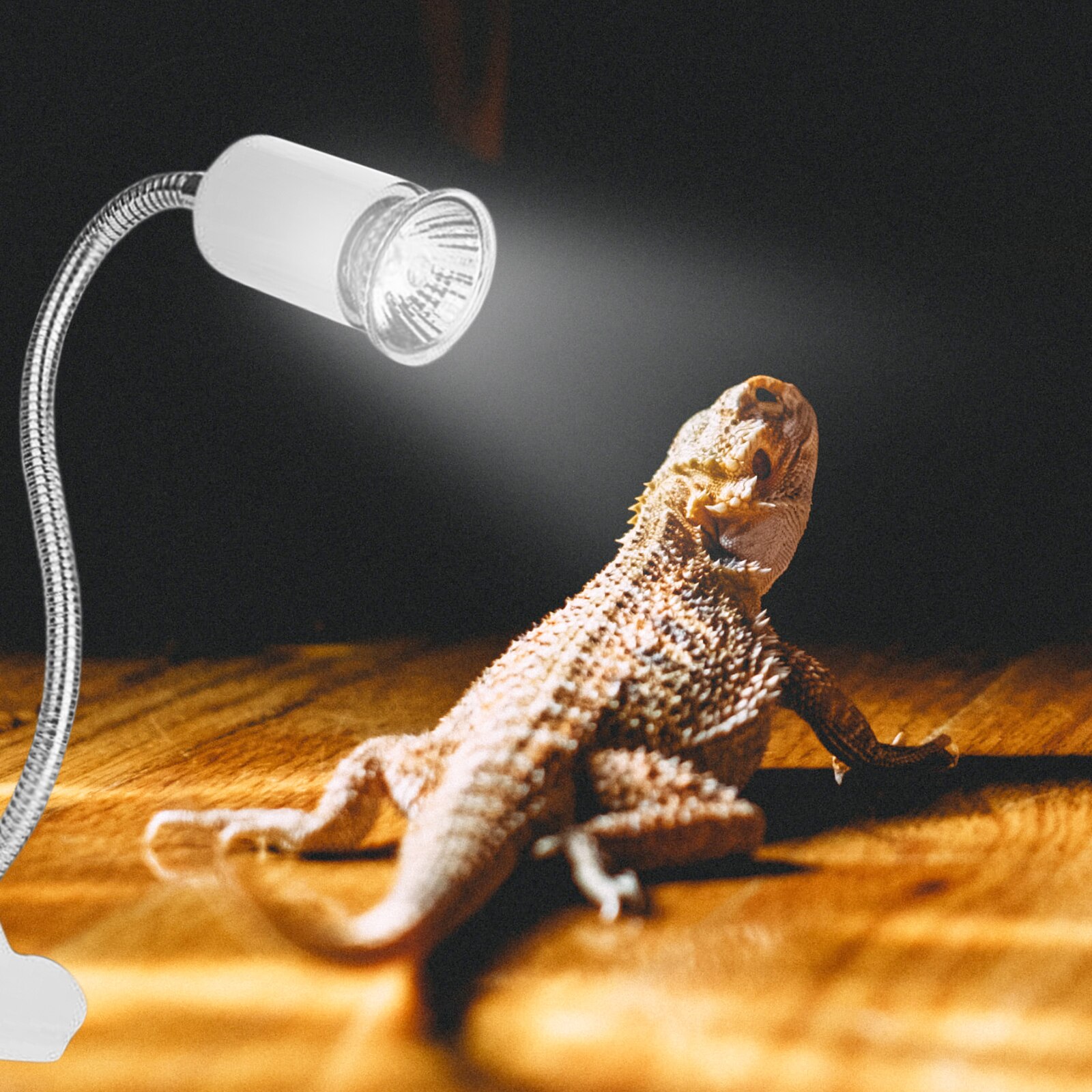 Portalampada riscaldante per rettili per acquario tartaruga rotazione a 360 gradi E27 portalampada lampadina a clip con coperchio a clip per lampada