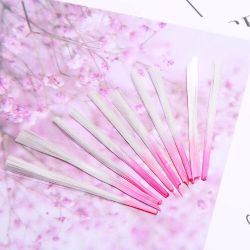 Ongles-embouts d'extension-accessoire Salon-outil fibre de verre Uv-Gel-construction acrylique français-manucure