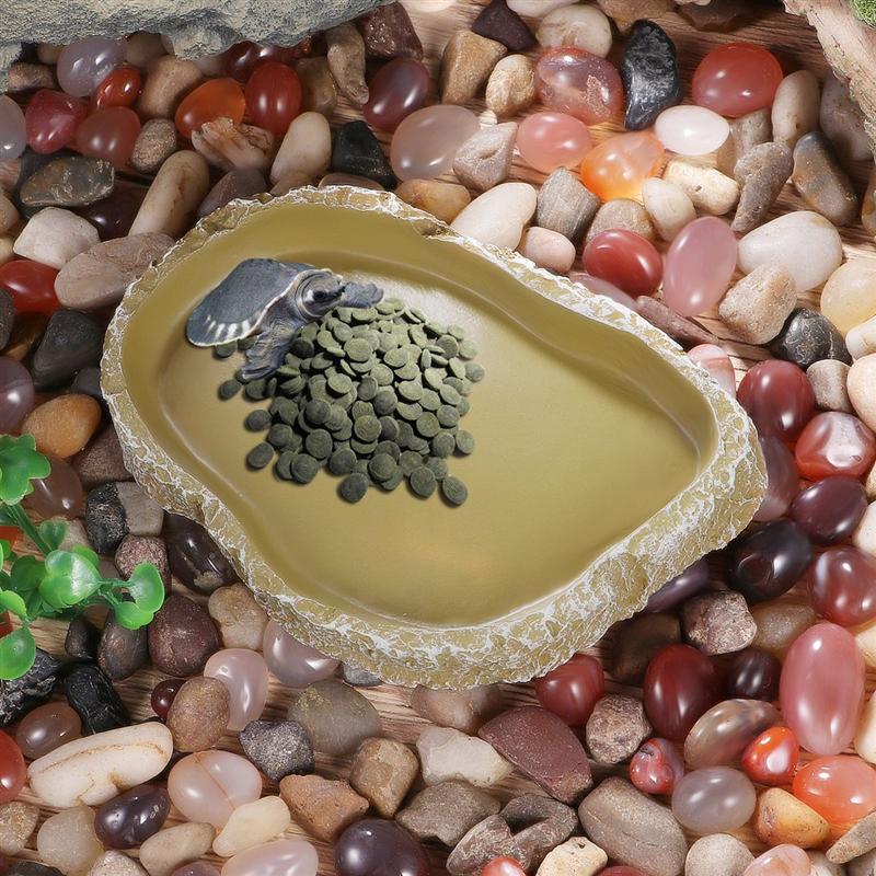 View of UEETEK 1PC Pets Feeding Plate Reptile Feeding Bowl... – Grandado