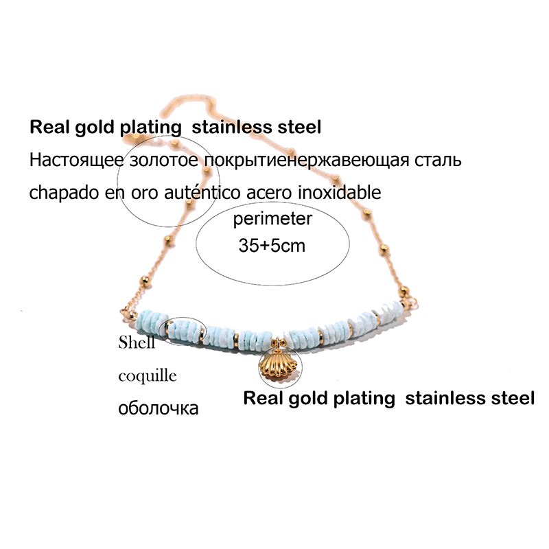 Collier Ras du Cou en Acier Inoxydable pour Femme, Coquille Naturelle, Cœur, Étoile, Bijoux d'Été