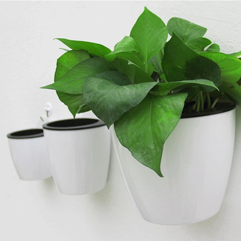 Modern Home Wall Hanging Flower Pot Round Shape Resin Hydroponics Chlorophytum Potted Flower Pots