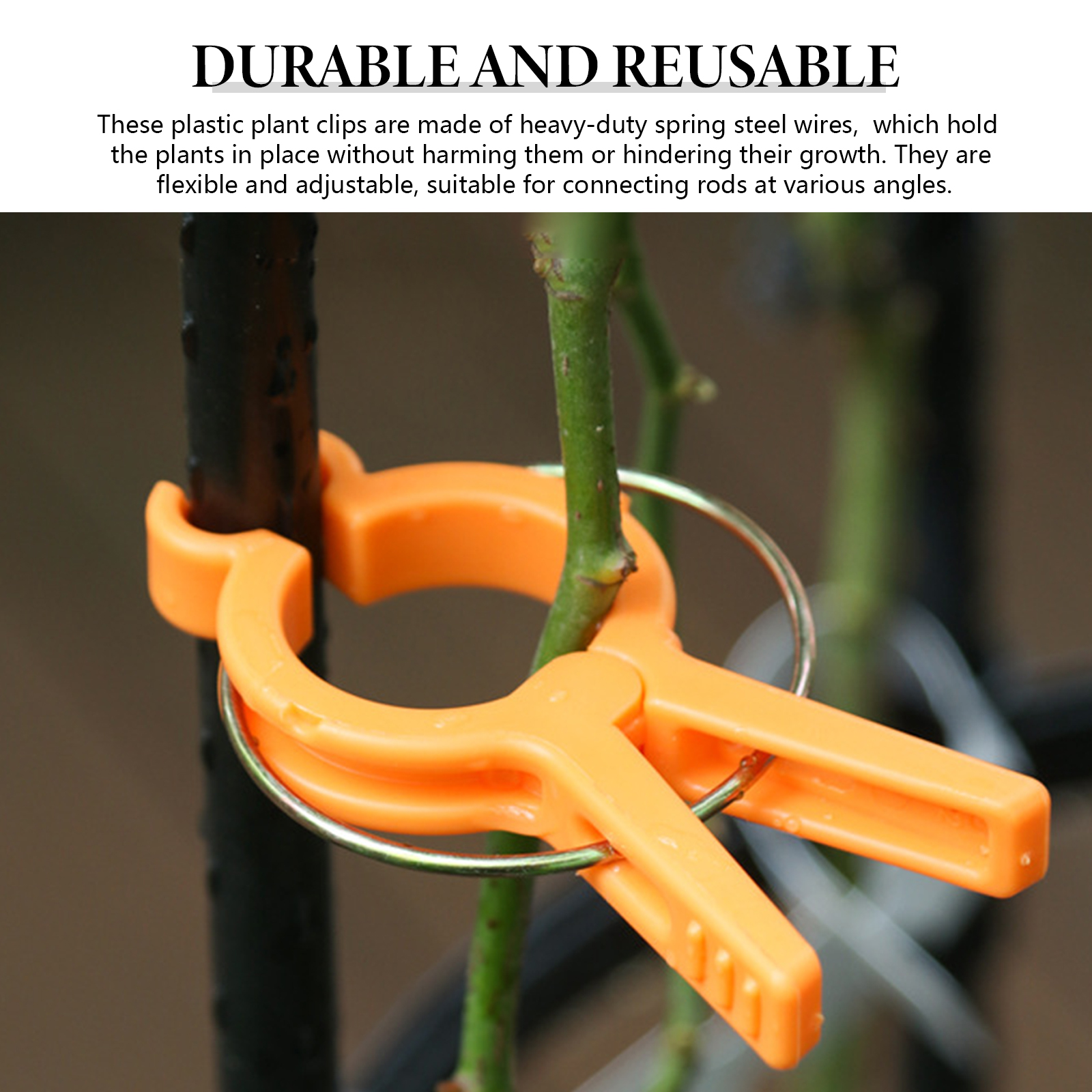 Clips de support en plastique pour plantes de jardin, sécurise les plantes pour éviter l'emmêlement des plantes rapidement et facilement