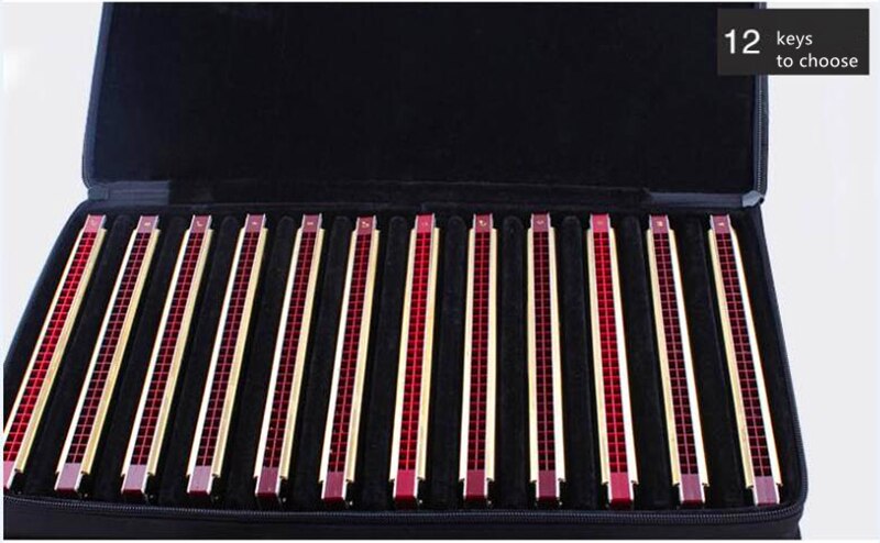 Easttop 28 Gaten Tremolo Harmonica Armonica C 28 Mond Ogan Instrumento Muzikale 28 Hole Harmonica 12 toetsen te Kiezen