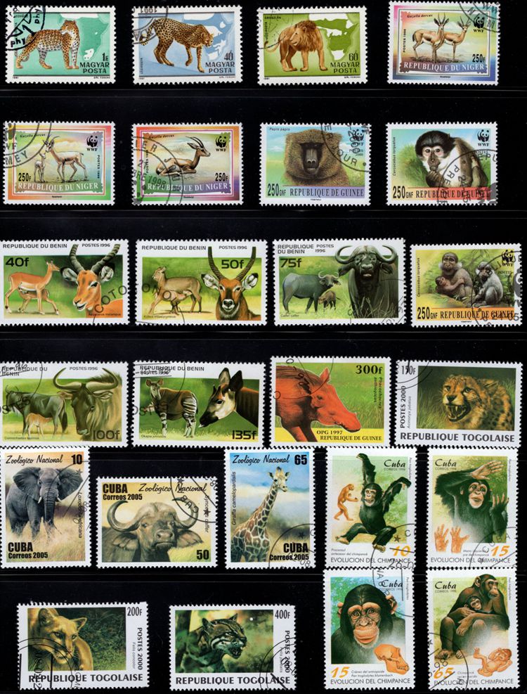 50Pcs/Lot African Wild Animals Stamp All Different... – Grandado