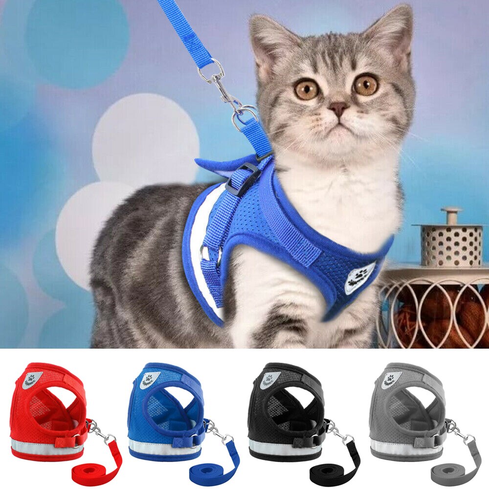 Embroidered Cat Walking Harness with Lead Leash for Cats and Puppies, Vest Style Chest Strap Harness