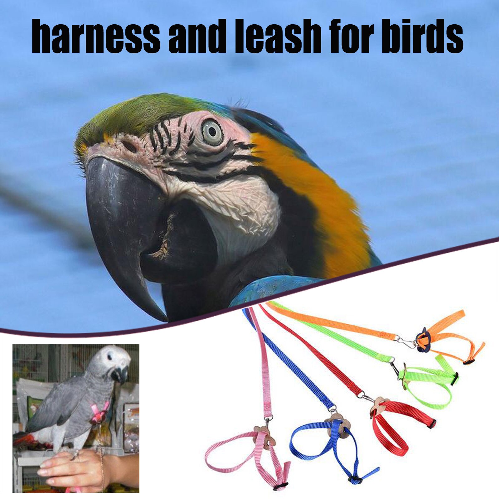 Leash Voor Vogels Papegaaien Verstelbare Anti-Bite Veelkleurige Licht Zachte Vogel Accessoires Harnas En Leiband Voor Tuin Vogels