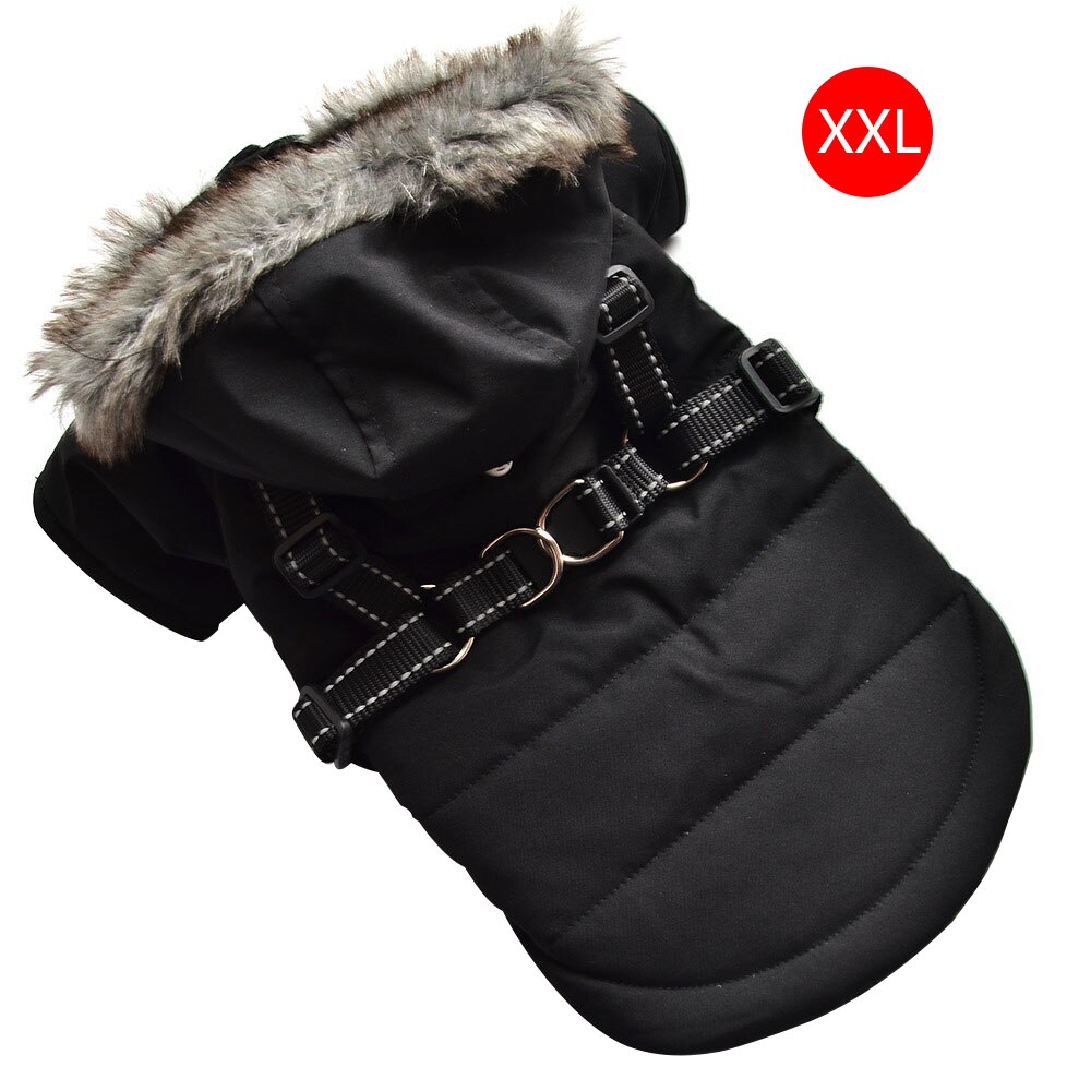Winter Hun Overall Mantel, Warme Hunkleidung Für Kleine Und Mittelgroße Hun, Welpen Pyjama, Chihuahua Overall, Französische Bulldogge, Jacke, Haustier Outfit