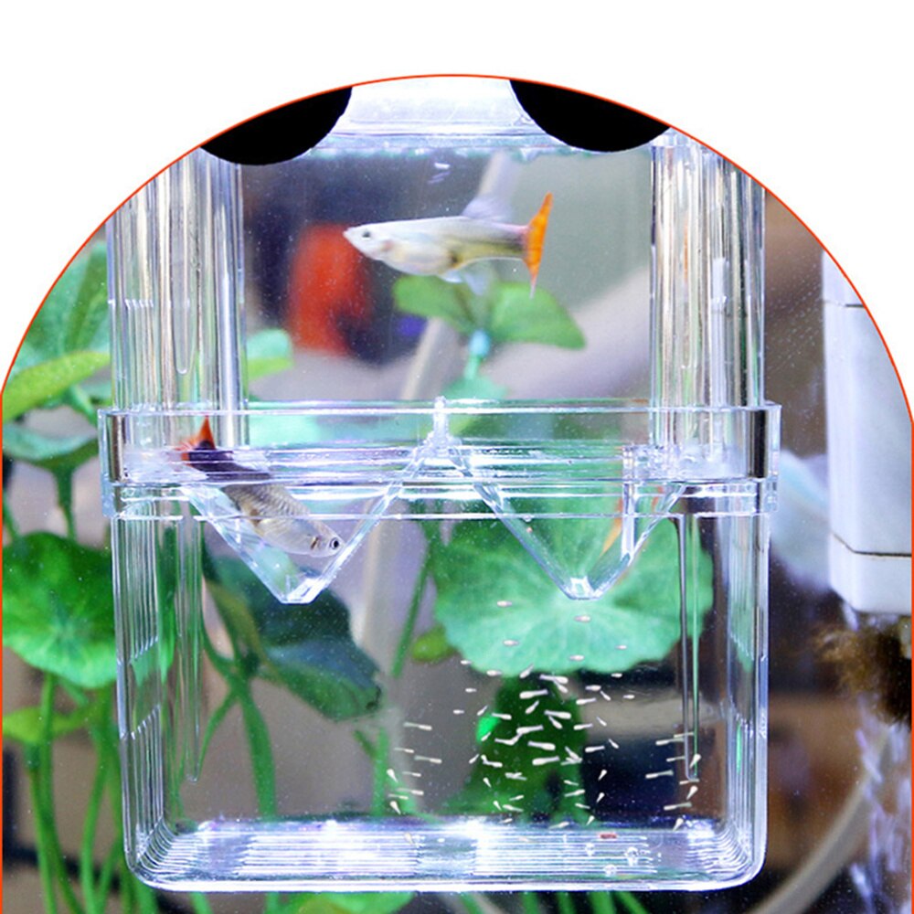 Fish Fry Breeder Box Fish Fry Isolation Incubator Fish Breeding Isolation Box Aquarium Fish Breeder Box