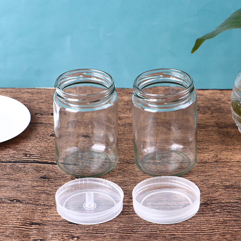 Piantine traspiranti della coltura del tessuto della pianta della copertura traspirante della piantina di vetro 1pc 350mL