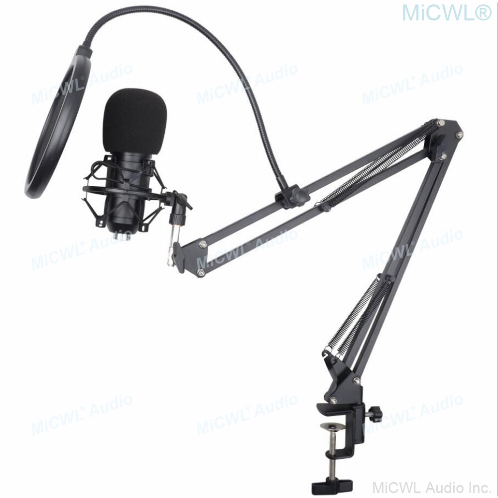BM 800 Studio Recording Condenser Podcast Kaorake Microphone Mic Kit Desktop Stand for PC Computer Pink Color
