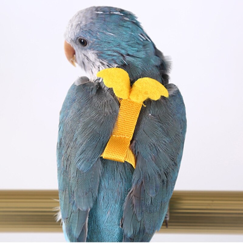 Cuerda de entrenamiento para loros voladores, kit de correa ajustable antimordedura para pájaros, con ala bonita, suministros de entrenamiento para loros y Mynah