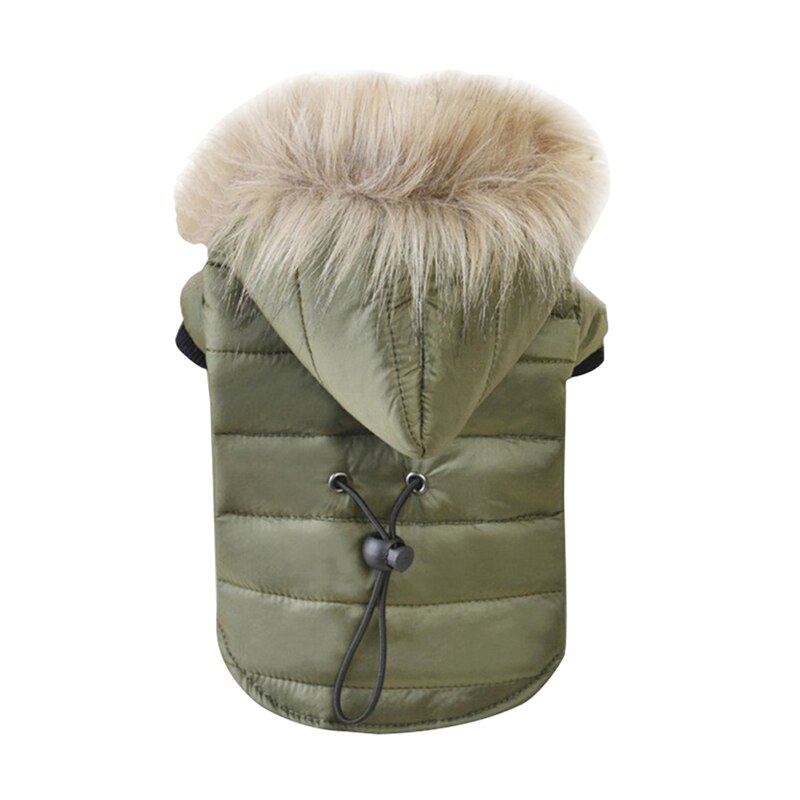 hiver chien veste manteau coton-rembourré pour Chihuahua veste Costume sweat à capuche chiot manteaux pour petits grands chiens: green / M