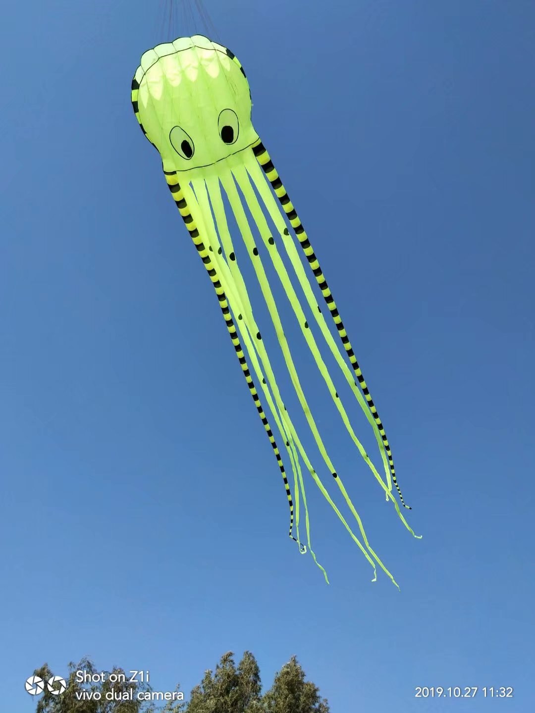 Cerf-volant en forme de poulpe 3D pour enfants, avec poignée, gonflable, 8m, avec spectacle,