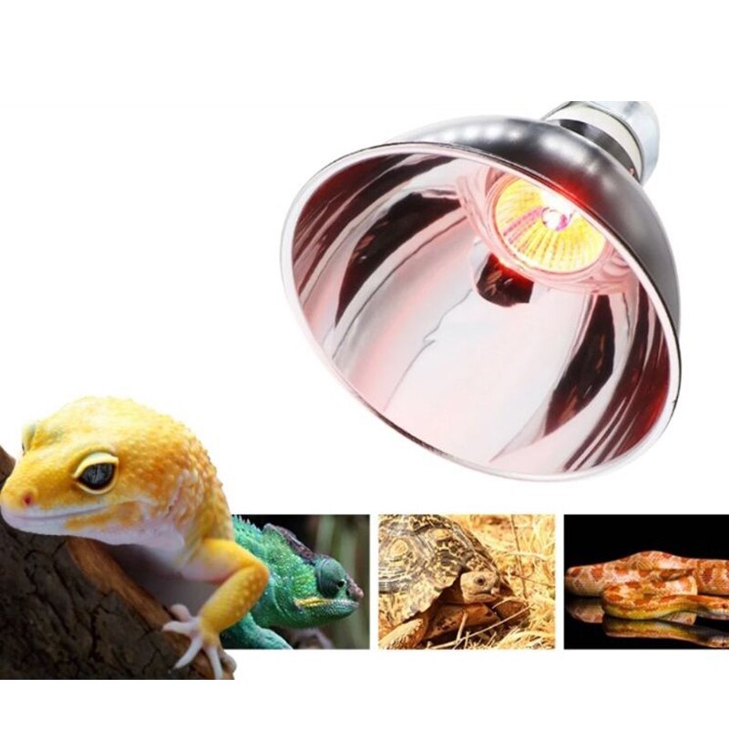 Dome Reptile Lamp for Tortoise Lizard Frog Snake Reptile UVB Light FPet Lamp Holder EU Plug Deep Barrel Reptile Light Cage