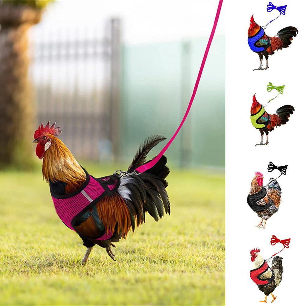 1 Set Poultry Harness Stylish Outdoor Chicken Vest Harness Colorful Chicken Harness