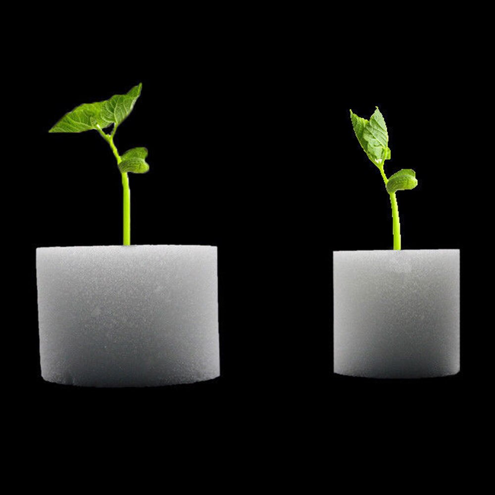 10 stk hvid mesh pot netto kop kurv + klon kloning krave skum indsætte hydroponic vegetabilsk plante vokse frø spire