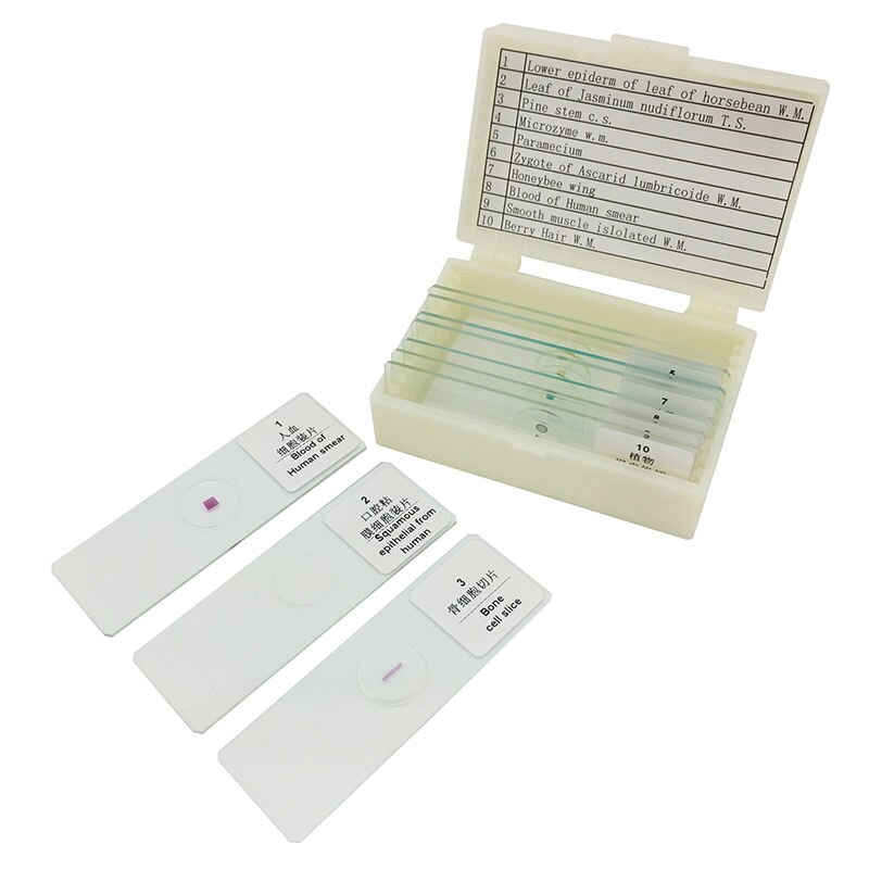 10PCS Prepared Glass Microscope Slides Biological Specimen for Biological Microscope Science Education Teaching