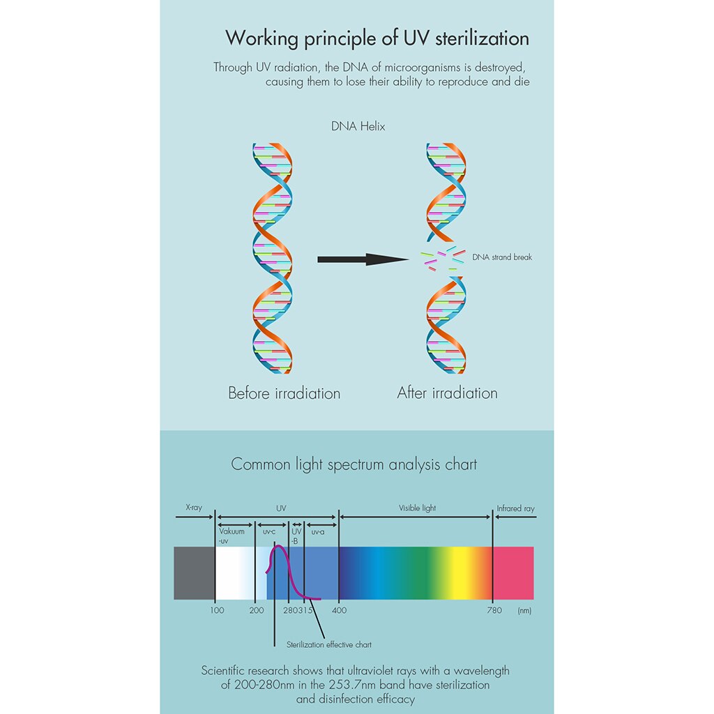 Antibacteria UV Light Ultraviolet Toothbrush Sterilizer Toothbrush Holder Oral Hygiene Cleaner