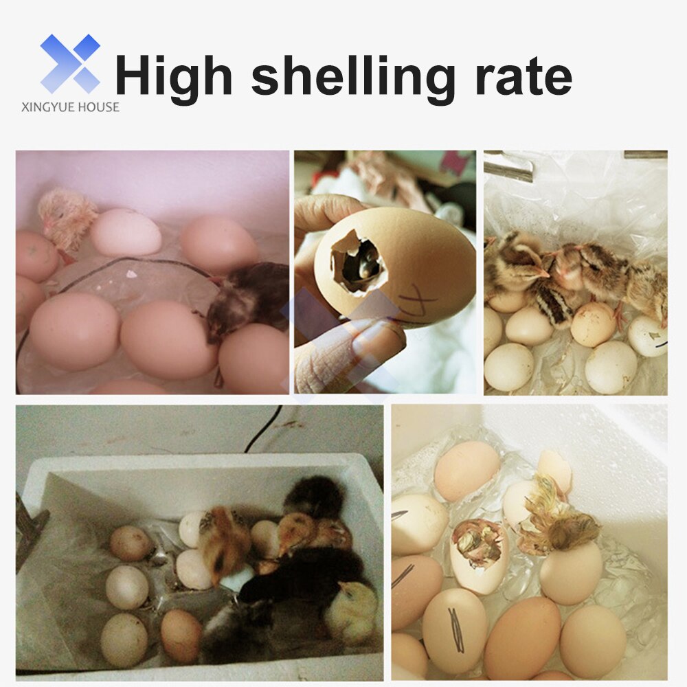20 Eggs Incubator Automatic Temperature Control Incubator Tools Household Bionic Water Bed Farm Bird Egg Hatchery Incubator 220V