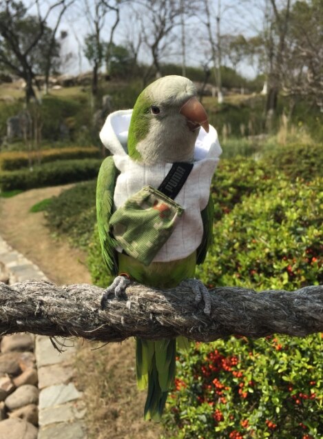 Ropa de abrigo para loros, suministros de aves, suministros de calefacción gruesa, traje volador de bolsillo, traje de una pieza, Otoño e Invierno