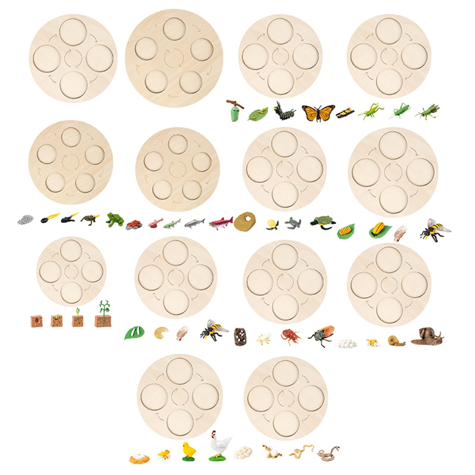 Montessori Life Growth Cycle Board Puzzle do zabawy dla dzieci zwierzęta wczesna edukacja prezenty zabawka na prezenty przedszkole 3 4 5 6 lat dzieci