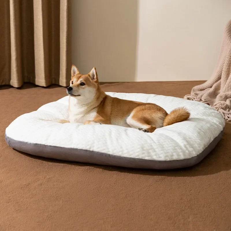 Huisdier Bedmat - Ademend Koraal Fleece - Wasbaar Kussen voor Middelgrote Grote Honden Katten