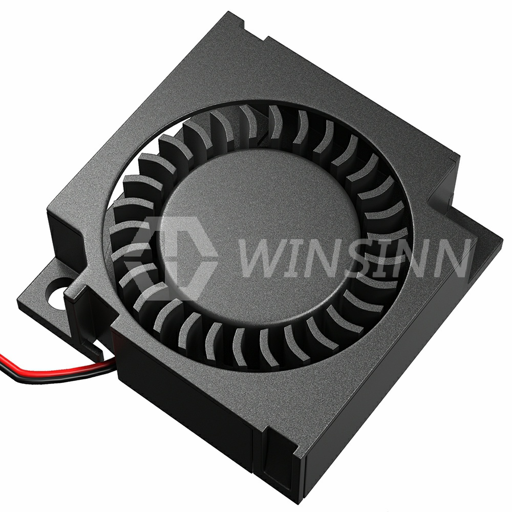 WINSINN 3010 30mm Ventilatore DC 5V 12V 24V Idraulico/Doppio Cuscinetto A Sfere Brushless Turbina di Raffreddamento turbo 30mmx10mm 2spillo