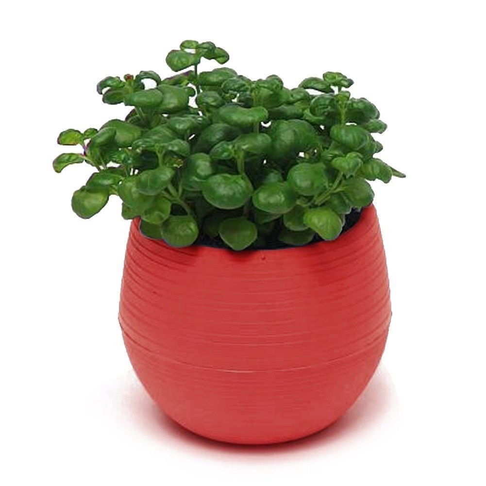 Eco-friendly Mini Colourful Round Plastic Plant Flower Pot Garden Home Office Decor Planter Desktop Flower Pots: Red