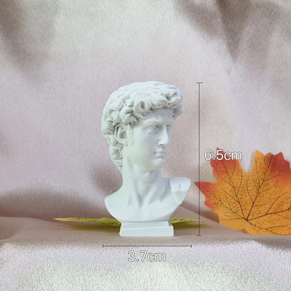 Photography Props Photo Shoot Mini Plaster Head Model Series Mythology Avatar Apollo Roman Columns fit for Jewelry Cosmetics Toy: David