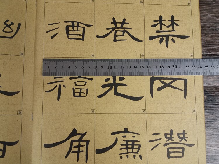 Chinese Calligraphy Copybook Shu Fa Li Shu 38pages 37*26cm