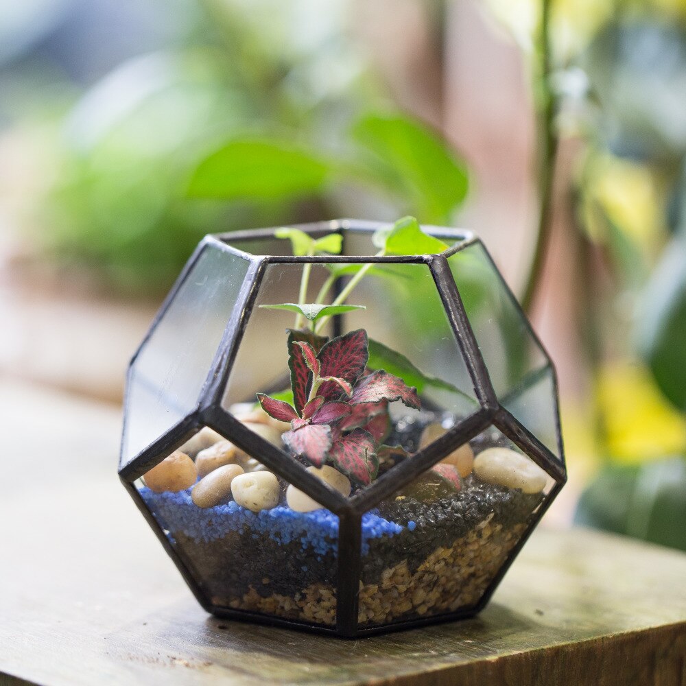 Garten Mini Terrarium Pflanzer Glas Geometrische Blumentopf Handgemachte Künstlerische Kleine Sukkulenten Farn Moos Pflanze Terrarium Dekoration