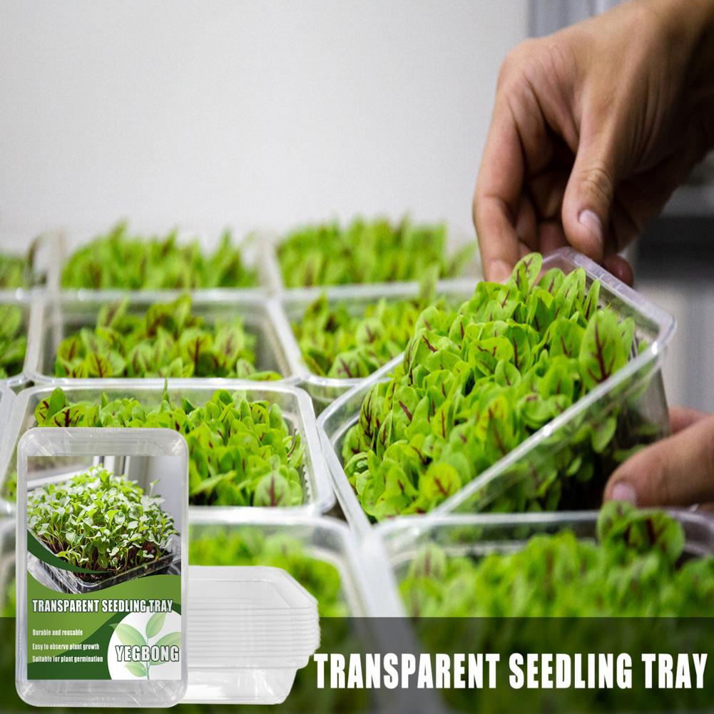 Maceta reutilizable para plantas de vivero, práctica, novedosa, ahorro de espacio, Visible, en patio para plantación, 1 Juego