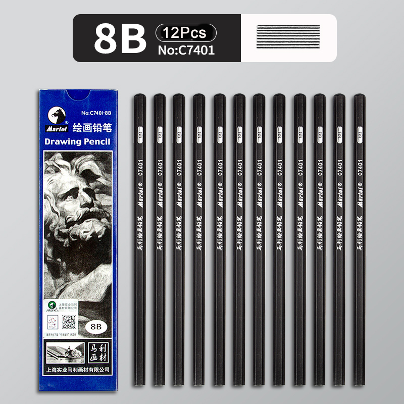 12Pcs 2H HB B 2B 3B 4B 5B 6B 7B 8B 12B 14B Sketch Drawing Graphite Shading Charcoal Pencils Set Sketching for Artists Beginners: PURPLE