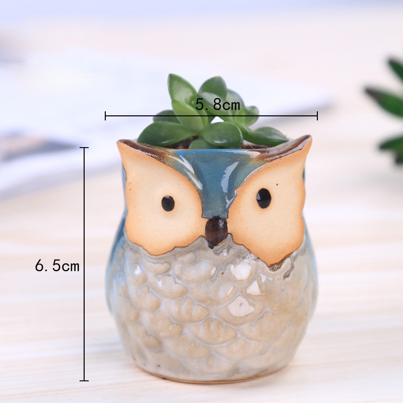 6 stk / sæt keramisk uglepotte saftige planter kaktus blomsterpotte beholder planter bonsai potter  h99f