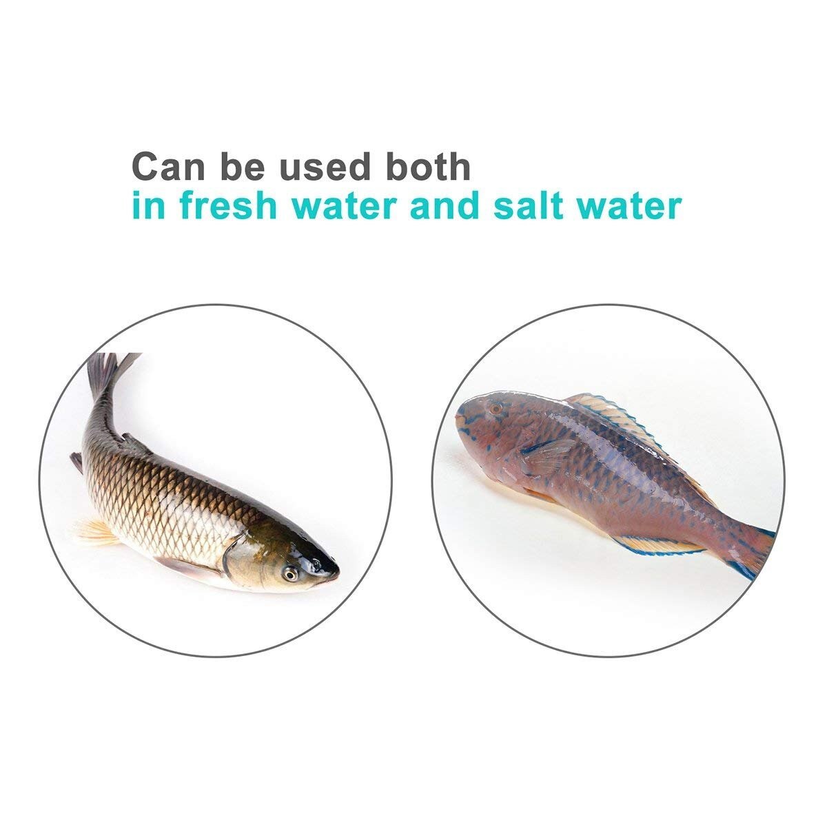 Luz LED de pesca de 10W y 12V, luces LED subacuáticas para estanques que atraen peces, lámparas LED de atracción nocturna, luz sumergible, herramienta de pesca