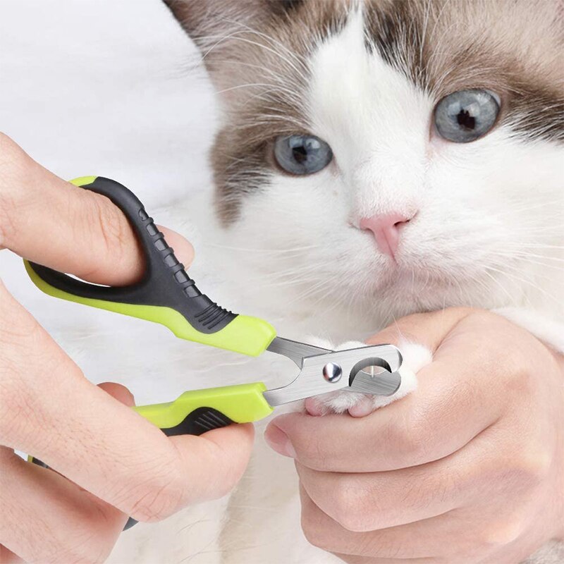 Professionele Kat Huisdier Nagelknipper Pet Nail Trimmer Voor Katten Honden Kleine Dieren Mooie Poten Kat Nagels Schaar Roestvrij Staal