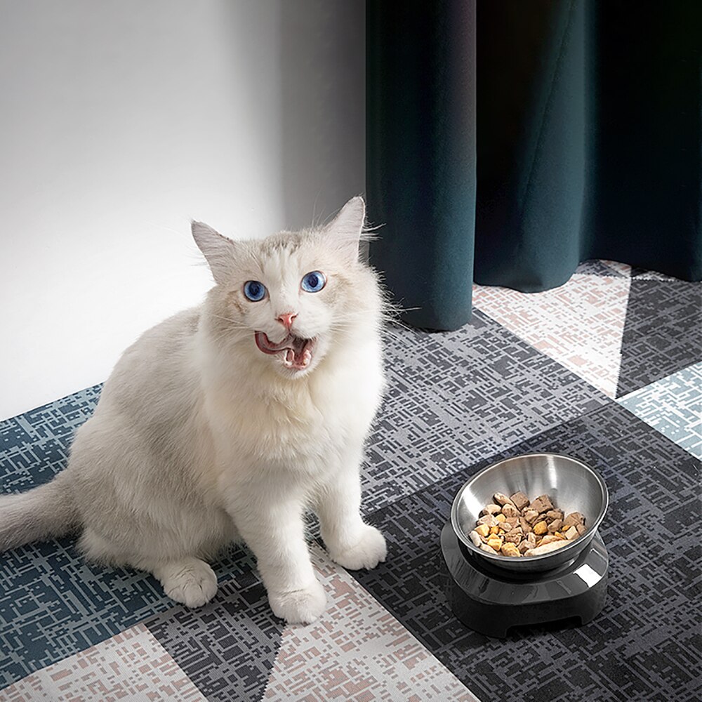 Glas Futternapf Für Katzen & Hunde - Erhöhter Napf Mit Bambus Ständer Gegen Verschlucken