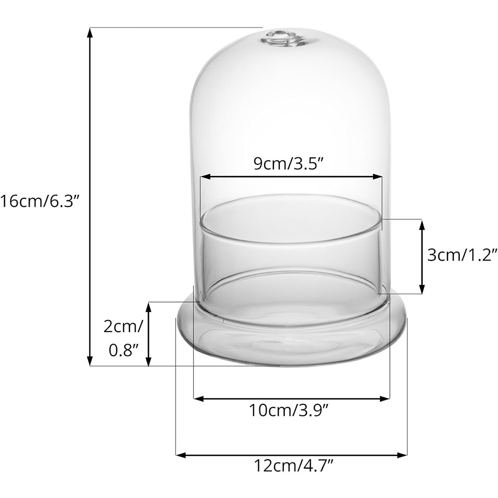 Cúpula de vidrio con orificio de aire, campana de cristal con Base, exhibición de mesa para el hogar, contenedor de terrario transparente para plantas, terrario: Blanco