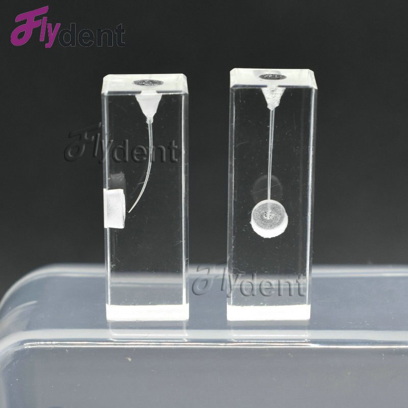 Dental Endo Training Block Endodontics student teaching Model practice model dentistry