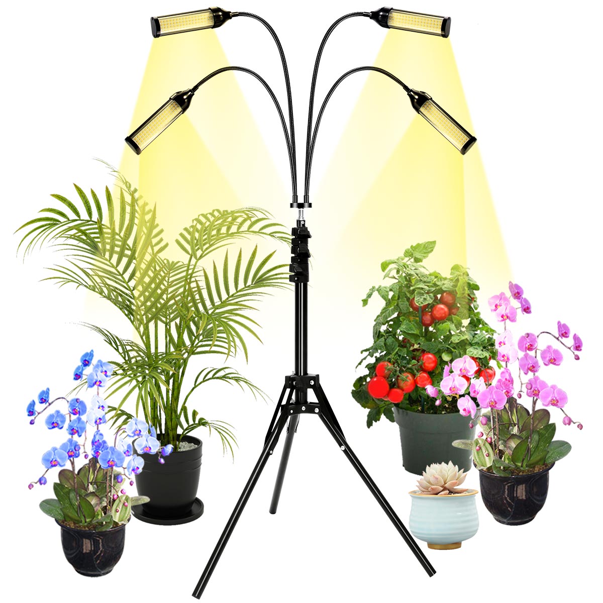 LED Grow Light With Tripod Stand Full Spectrum Grow Light With Timer And Remote Control For Floor Plant Flowers IndoorPhyto Lamp