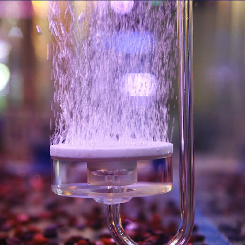 Aquarium Co2 Bubble Diffuser Air Bubble Disk Atomizer Arcylic Tube with Suction