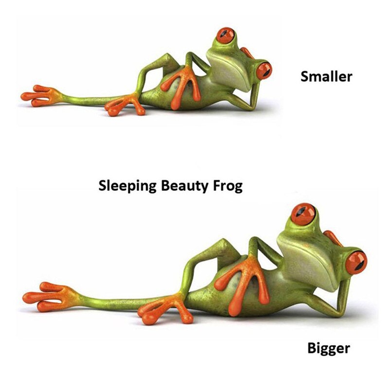 3D Funny Frog Vinyl Decal Car Stickers Car Window Exterior Styling Decoration Car Accessories Auto Product Car Wrap