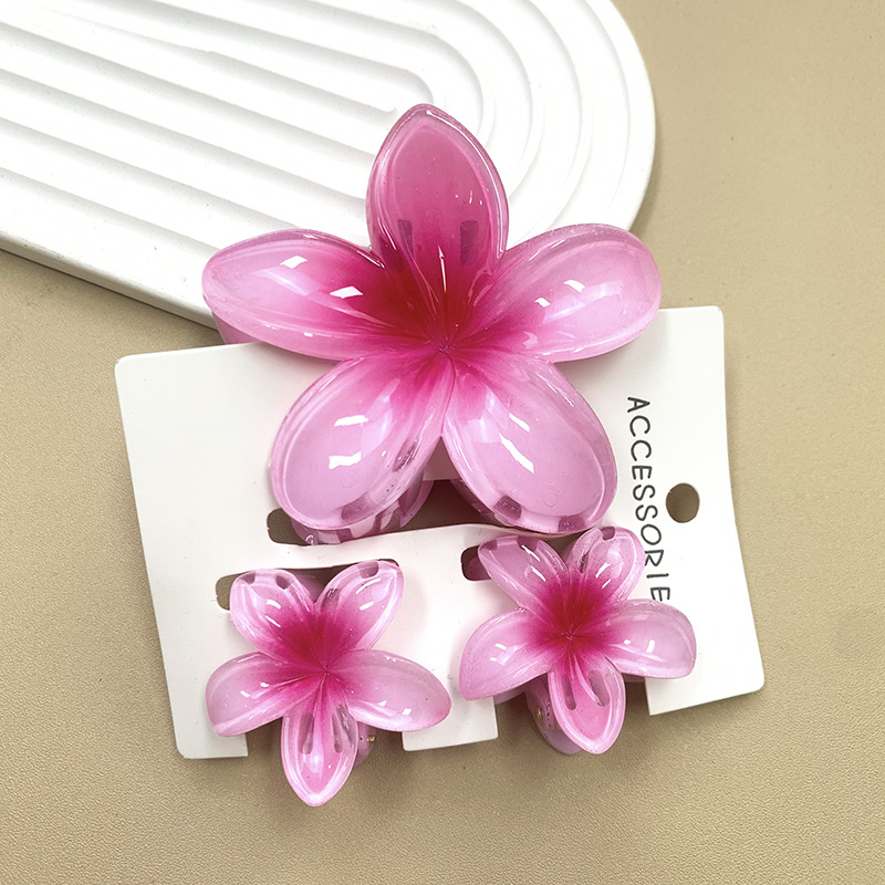 3 pièces/ensemble fleur douce dégradé coloré griffes de cheveux queue de cheval Cip pince Barrettes épingles à cheveux pour femmes fille plage cheveux accessoires