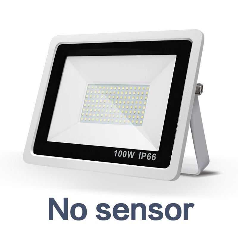 LED Flood Light Fastest Infrared Sensor IP66 Waterproof Foco Led for Outdoor Lighting 220V Spotlight for Garden Street Wall Lamp: No Sensor / 30W / Warm White (2700-3500K)