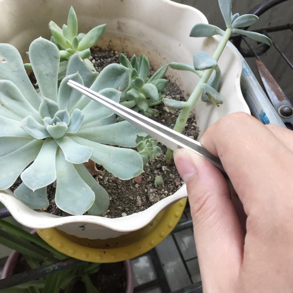 Gardening Soil Rake Great 3-Prong Loosen Soil Rake Bonsai Tree Tweezers Stainless Steel Soil Loosen Rake