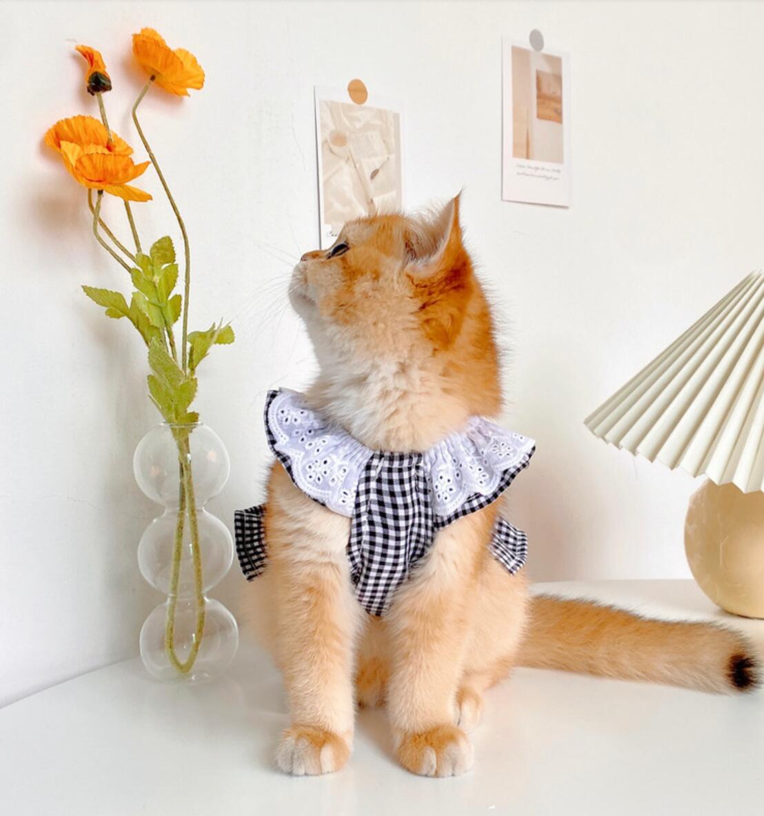 T-shirt respirant pour chats, vêtements mignons pour animaux de compagnie, Costume à la pour chien et chat