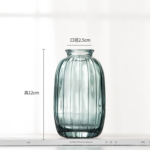 Florero tintado para sala de estar, flores secas, estilo nórdico Ins, cristal transparente, accesorios de decoración para el hogar, jarrones de flores para el hogar: G
