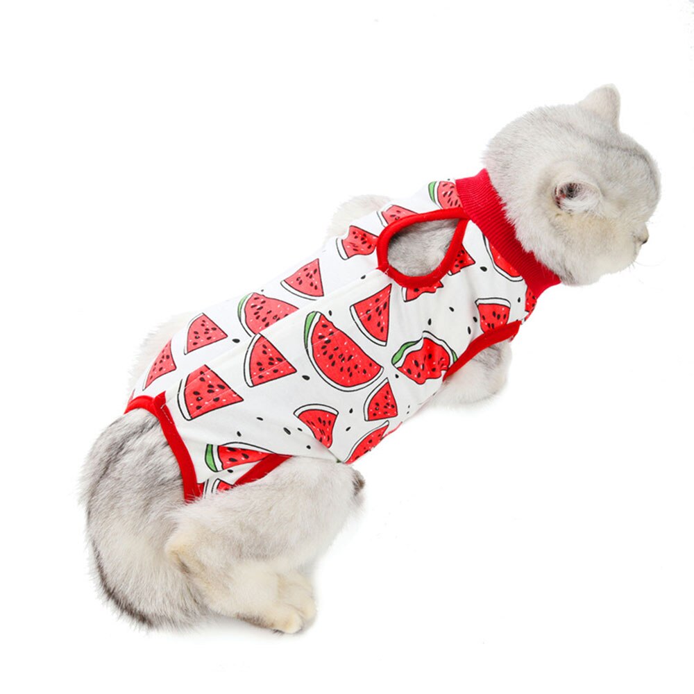 Kat Herstel Pak Ademend Kitten Skin Protect Anti Likken Wond E-Kraag Hond Herstel Kleding Voor Kleine En Middelgrote huisdieren: A / Xl