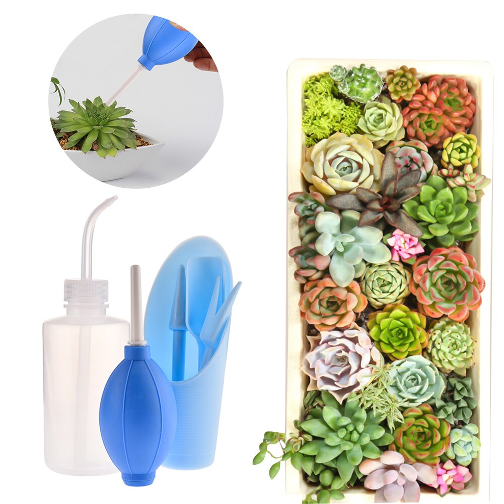 6 PCS Mini Garden Planter Kit DIY Hand Tools Set Succulent Plant Planting Kit Miniature Garden Plants Bucket Shovel Tools: Blue